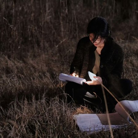 Love between Lines (2026)