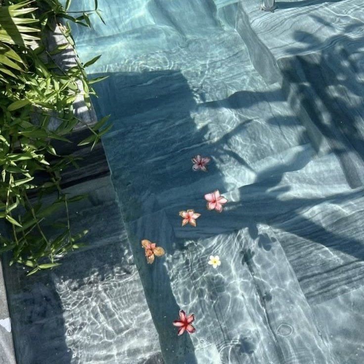 swim