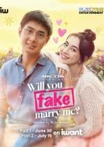 Will You Fake Marry Me?