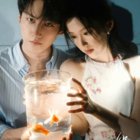 Never-Ending Summer (2026)
