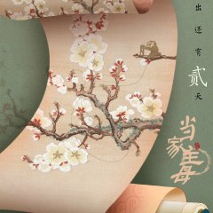 Marvelous Women Chinese Drama photo