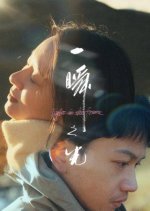 Light in the Frame Chinese Movie(2025) photo