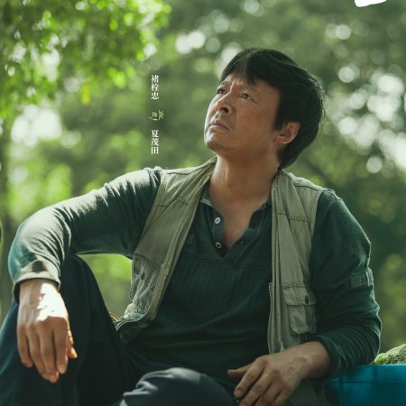 Northward (2025)