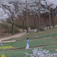 Love Scout Korean Drama photo