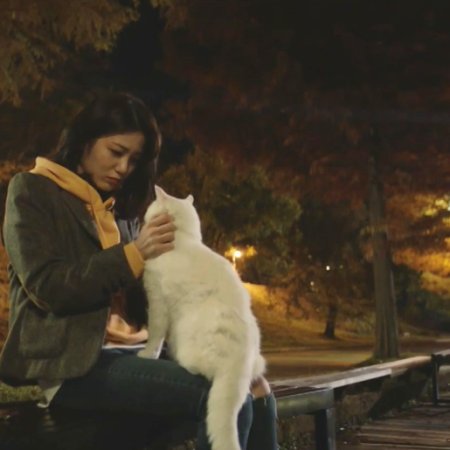 Meow, the Secret Boy (2020)