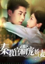 The Squadron Leader's Doting Darling Wife Chinese Drama photo