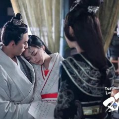 Destined Love Chinese Drama photo