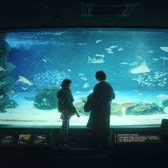 Hold My Hand at Twilight Japanese Drama photo