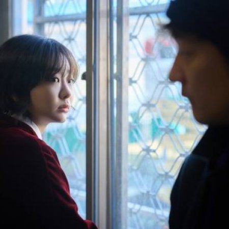 Nine Puzzles (2025)