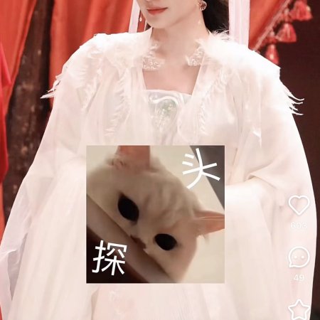 Live Long and Prosper ()