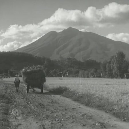 Conduct Report on Professor Ishinaka (1950)
