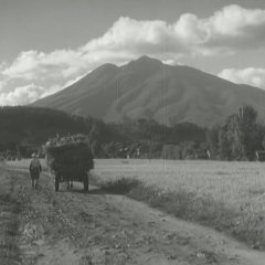 Conduct Report on Professor Ishinaka Japanese Movie photo