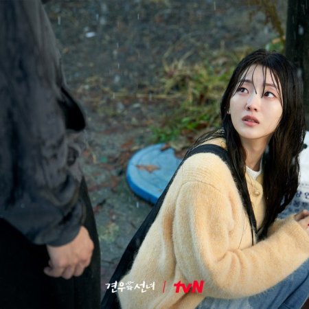 Head over Heels (2025)