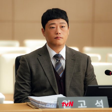 Law and the City (2025)