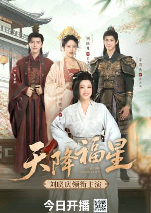Fortune from Above poster