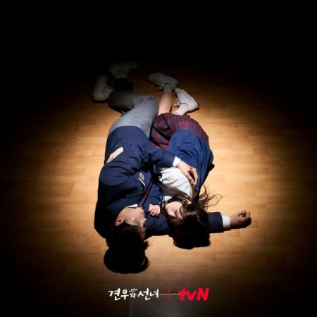 Head over Heels (2025)