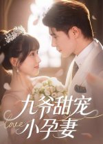 Jiu Ye Tian Chong Xiao Yun Qi Chinese Drama(2025) photo