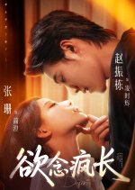 Desires Chinese Drama(2025) photo
