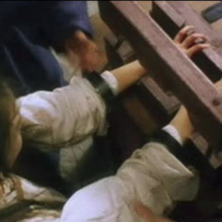 A Chinese Torture Chamber Story (1994)
