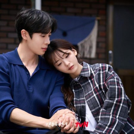 Head over Heels (2025)
