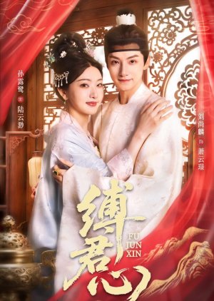 Fu Jun Xin (2025) poster
