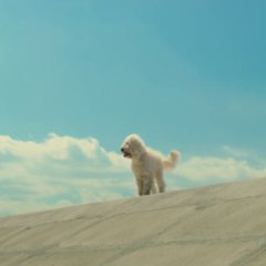 Haw Japanese Movie photo