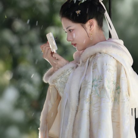 Liang Chen Mei Jin ()