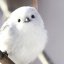 snowbabybird508