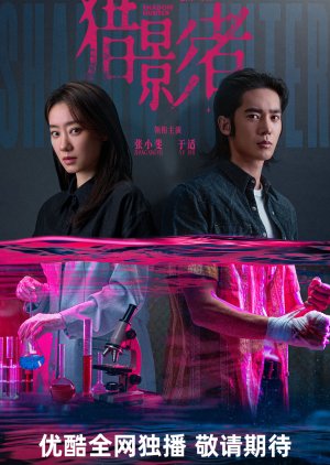 Shadow Hunter poster