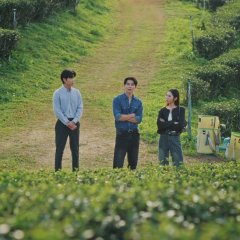 Your Dear Daddy Thai Drama(2026) photo