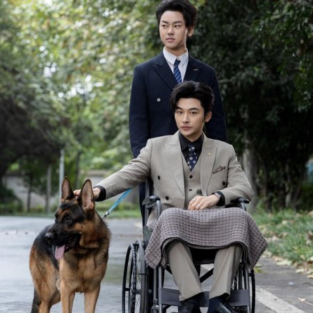 My Miracle Doctor Wife (2024)