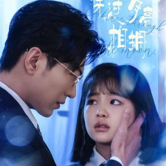Embrace through the Moon Chinese Drama(2025) photo