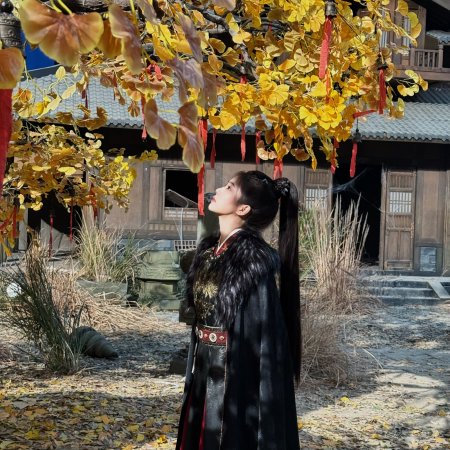 Unveil: Jadewind (2026)