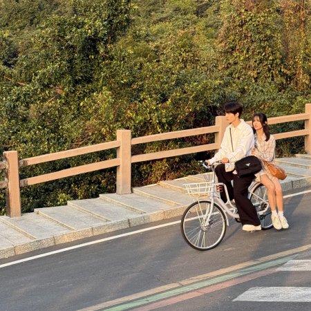 Sunshine through the Rain ()