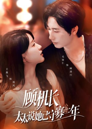 Renewed Love in the Skies (2025) poster