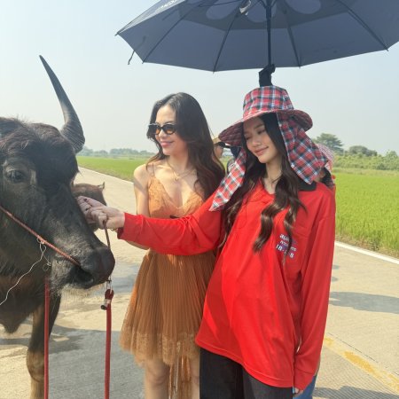 Hometown Romance (2026)