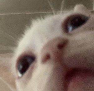Nanaa
