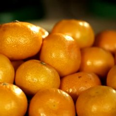 A Day Korean Movie(2011) photo