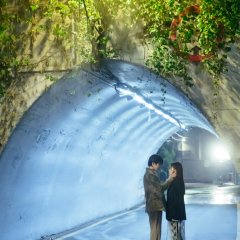 Family by Choice Korean Drama photo