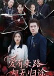 Ai You Lai Lu Que Wu Gui Tu chinese drama review