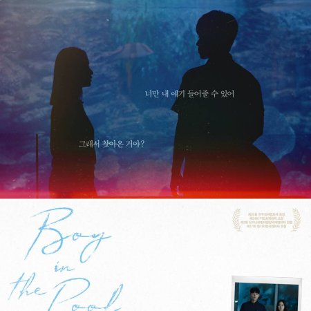 Boy in the Pool (2024)