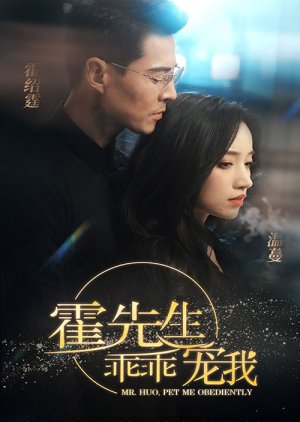 Mr. Huo, Pet Me Obediently poster