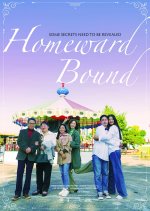 Homeward Bound Korean Movie(2025) photo