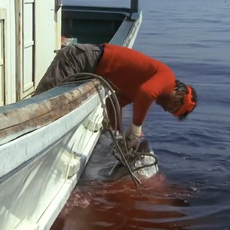 The Catch (1983)