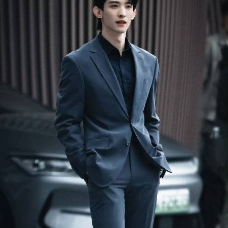 The Vanishing Beauty ()