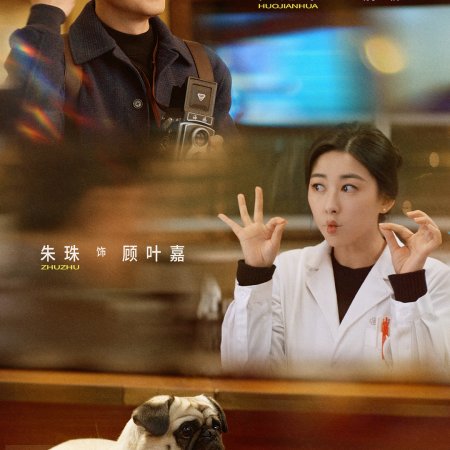 Why Is He Still Single? (2025)