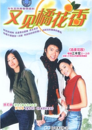 First Love (2003) poster