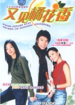 First Love Taiwanese Drama(2003) photo