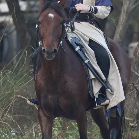 Tian Du Yi Wen Lu ()