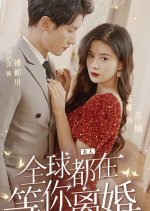 The Anticipated Divorce Chinese Drama(2023) photo